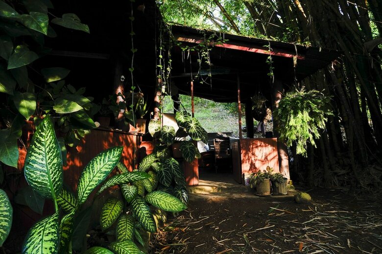 Villa Ecovital Costa Rica
