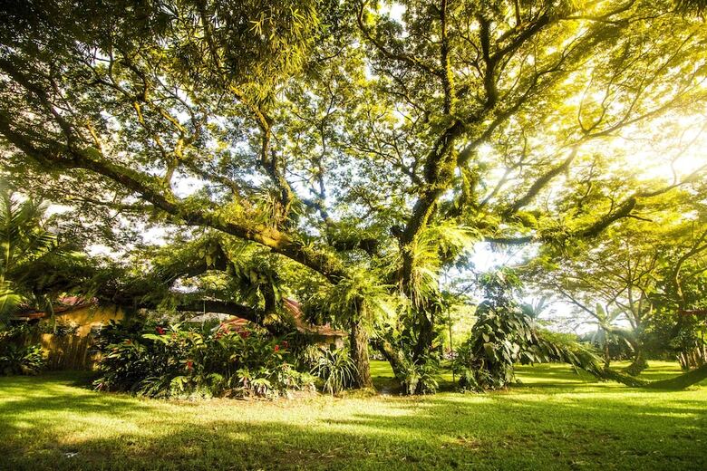Villa Ecovital Costa Rica