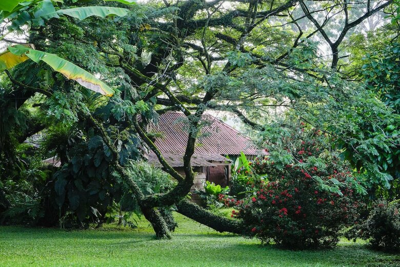 Villa Ecovital Costa Rica