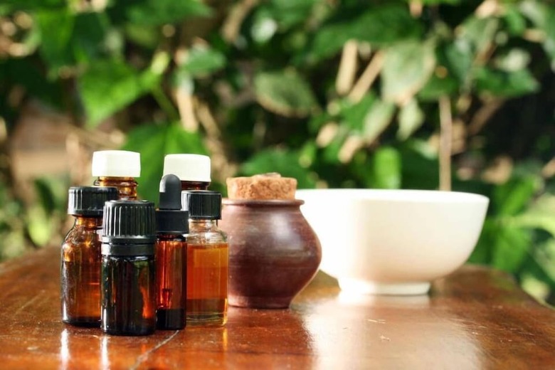 Villa Ecovital Costa Rica