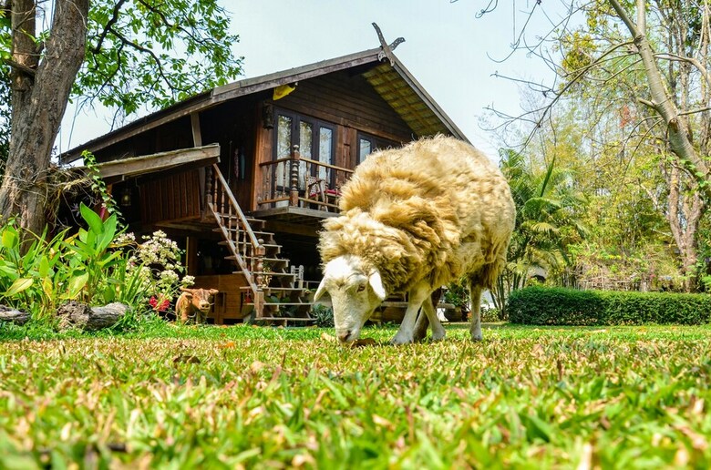 Hotel Rice Barn And Rooms