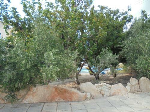 Akamas Villas - Villa Queen Evridiki