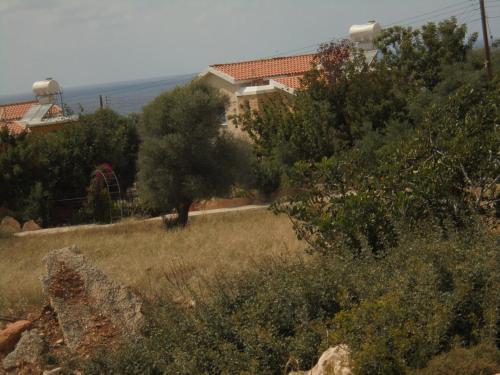 Akamas Villas - Villa Queen Evridiki
