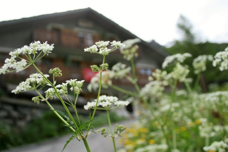 Hotel Maison Des Myrtilles