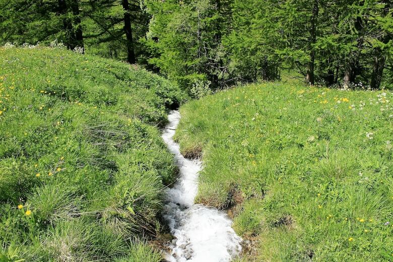 Hotel Maison Des Myrtilles