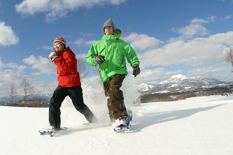Niseko Hirafu Izumikyo Rental Cottage