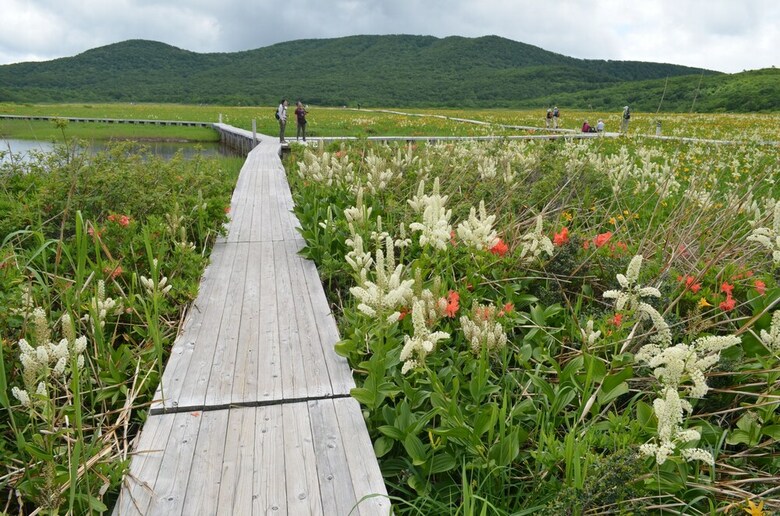 Pension Gastohofu Montania