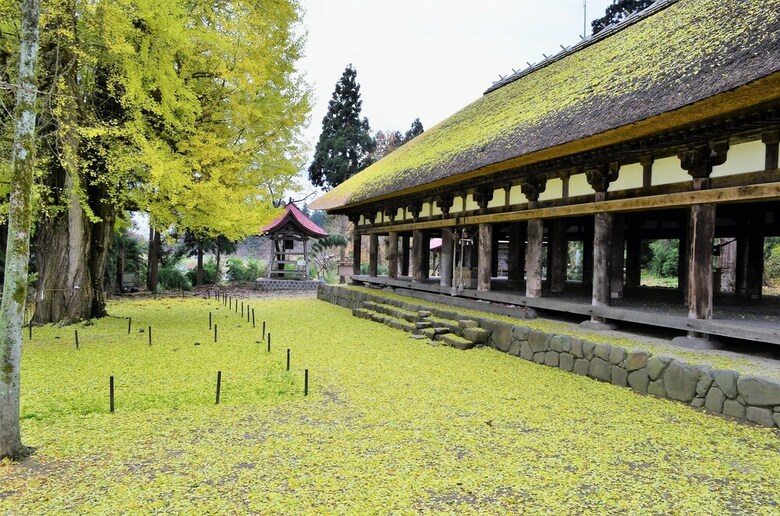 Pension Gastohofu Montania