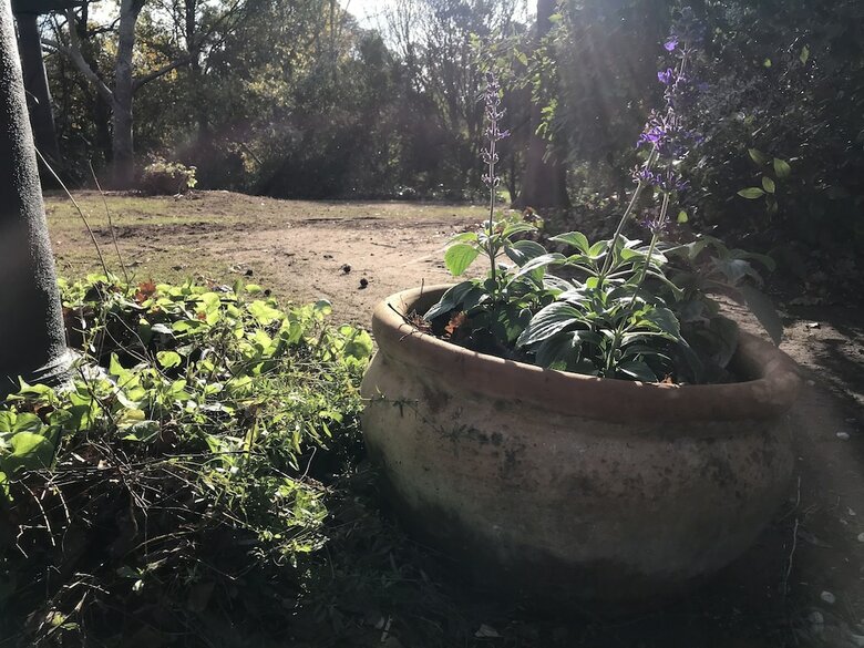 Adelaide Hills Retreats