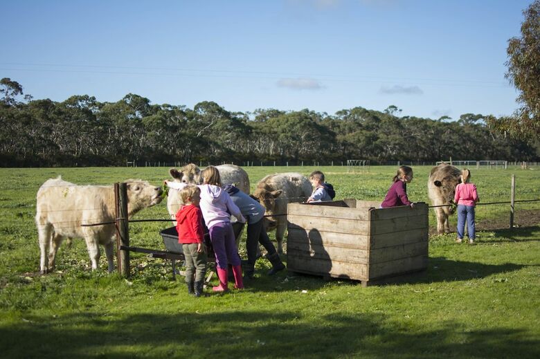Freshwater Creek Cottages And Farm Stay