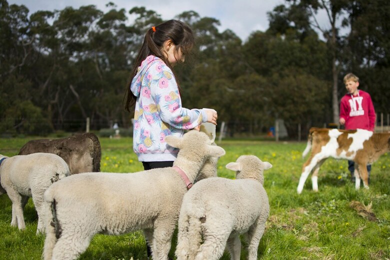 Freshwater Creek Cottages And Farm Stay