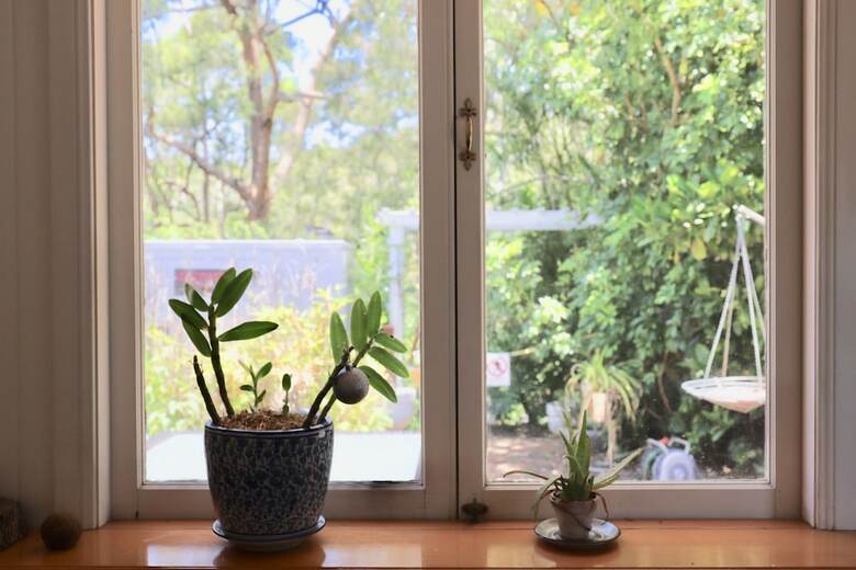 Bed & Breakfast Hilltop On Tamborine