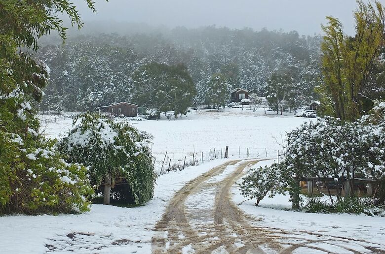 Wisteria Cottage And Cabins
