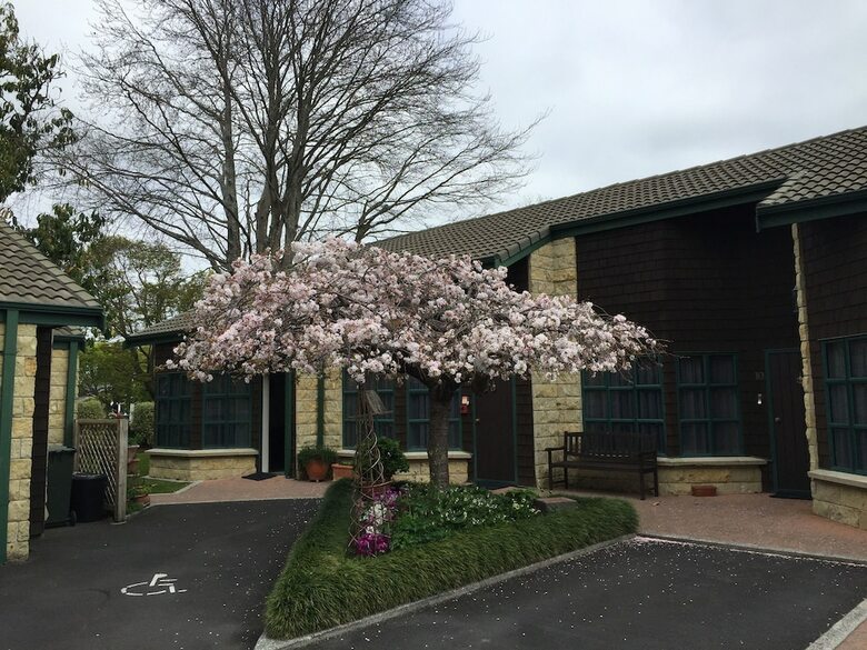 Motel Cambridge Mews