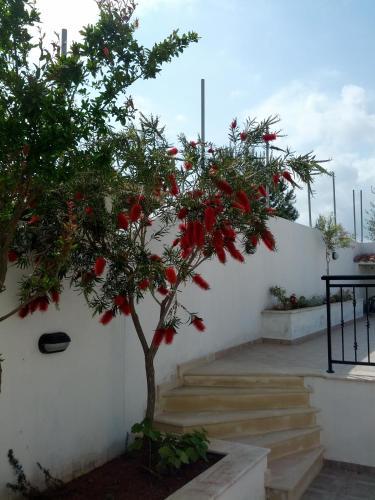 Thalassa Villa
