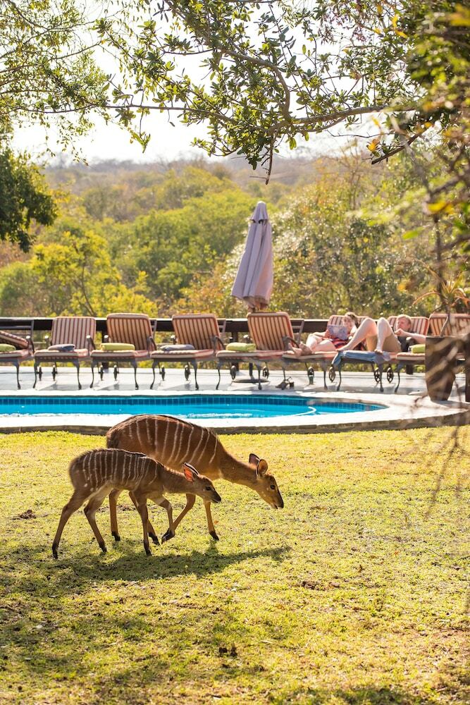 Posada Waterbuck Game Lodge