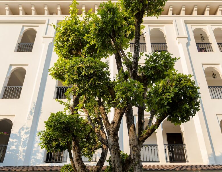 Apartamento Sarai Resort & Spa