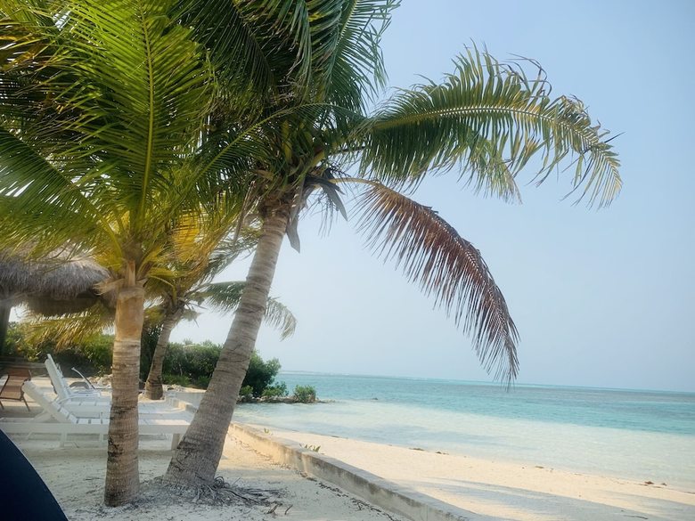Royal Palm Island Resort