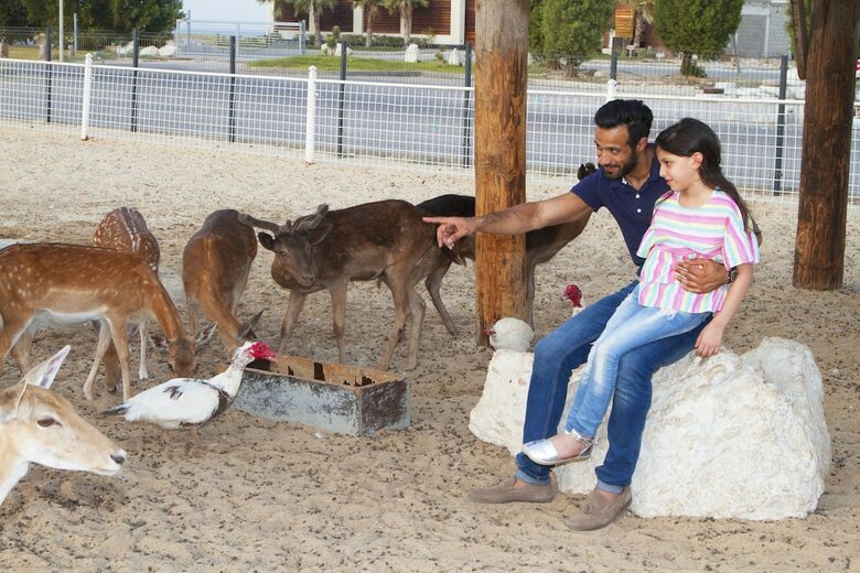Hotel Dana Beach Resort