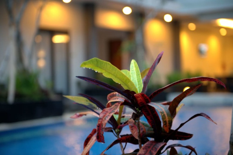 Hotel Illira Lite Praya Lombok