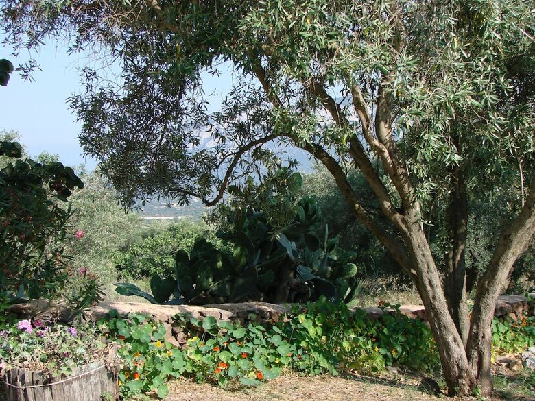 Agroturismo Agriturismo Su Tiresi