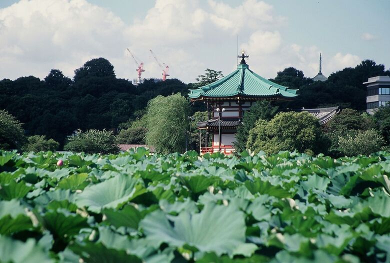 Dormy Inn Ueno Okachimachi Hot Spring