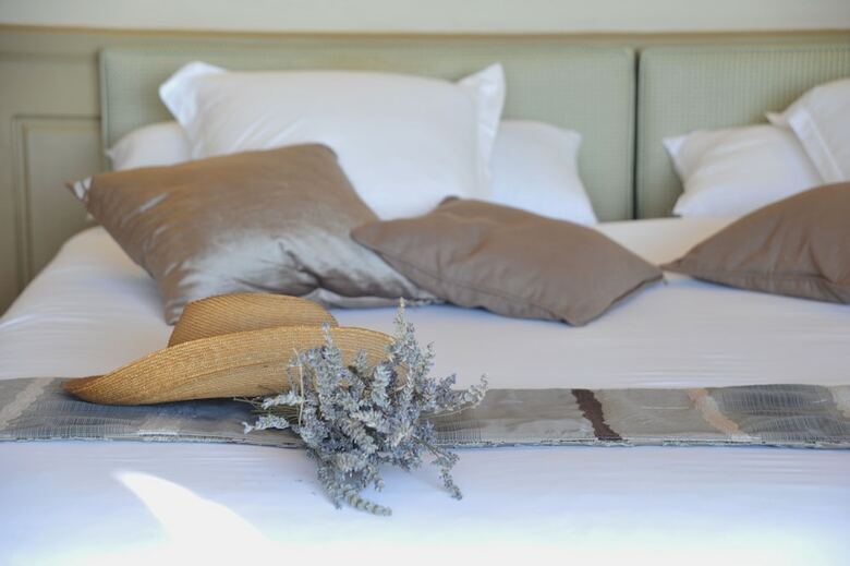 Hotel Boutique H�tel - Hostellerie B�rard & Spa