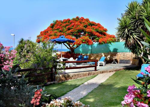Rododafni Beach Apartments