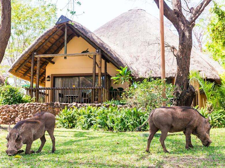 Posada Chobe Marina Lodge
