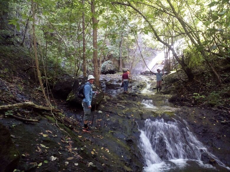 Hotel Suka Sari Cottages