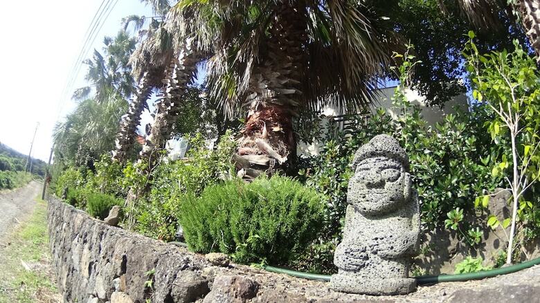 Hotel Memory In Jeju Pension