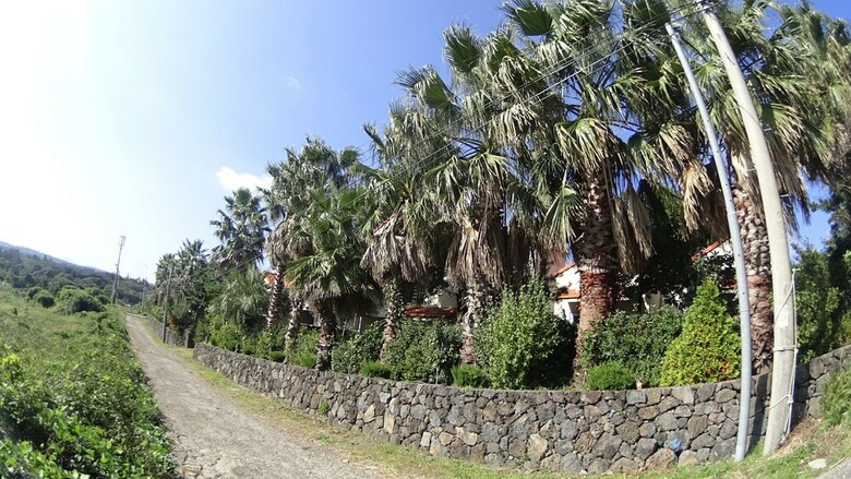 Hotel Memory In Jeju Pension