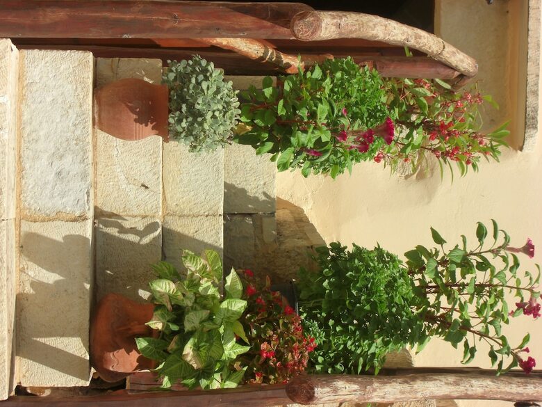 Hotel Patriko Traditional Residence