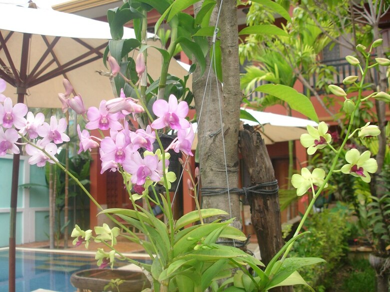 Hotel Jasmine Family Hostel