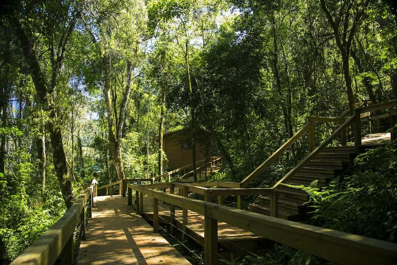 Posada Mocona Virgin Lodge By Don