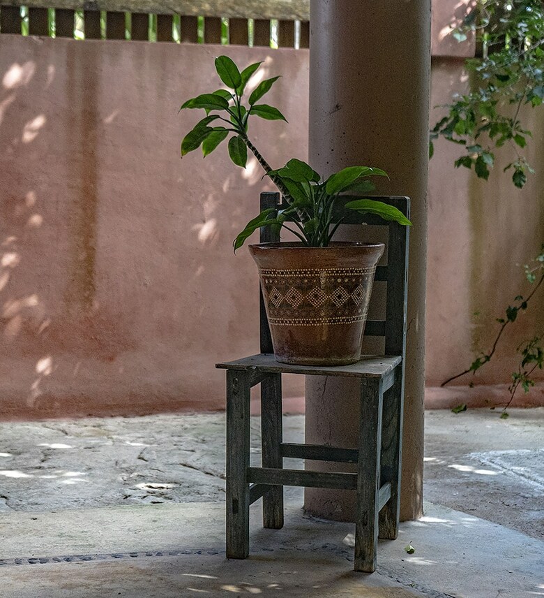 Hotel Calaluna Tulum - Adults Only