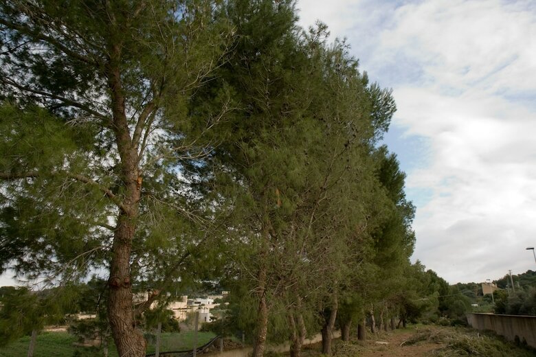 Bed & Breakfast Casasolare Rakalia