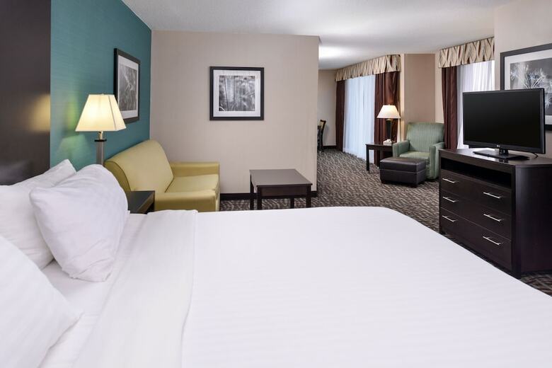 Hotel Holiday Inn Express & Suites North Lima