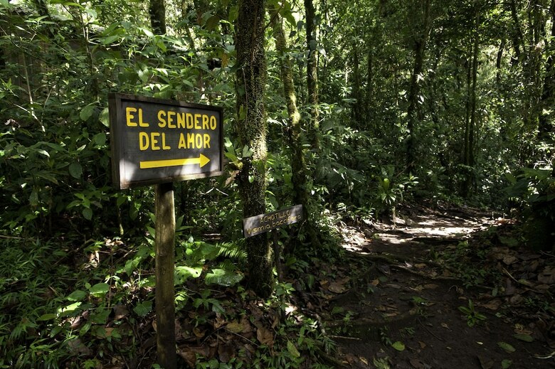 Posada Wagelia Espino Blanco Lodge