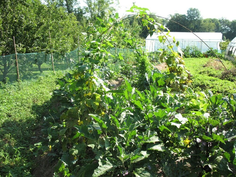 Agroturismo Campo Di Cielo