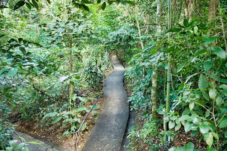 Hotel Jaguarundi Lodge