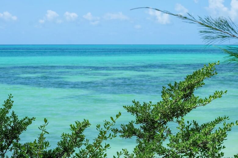 Hotel Seasons Lodge Zanzibar