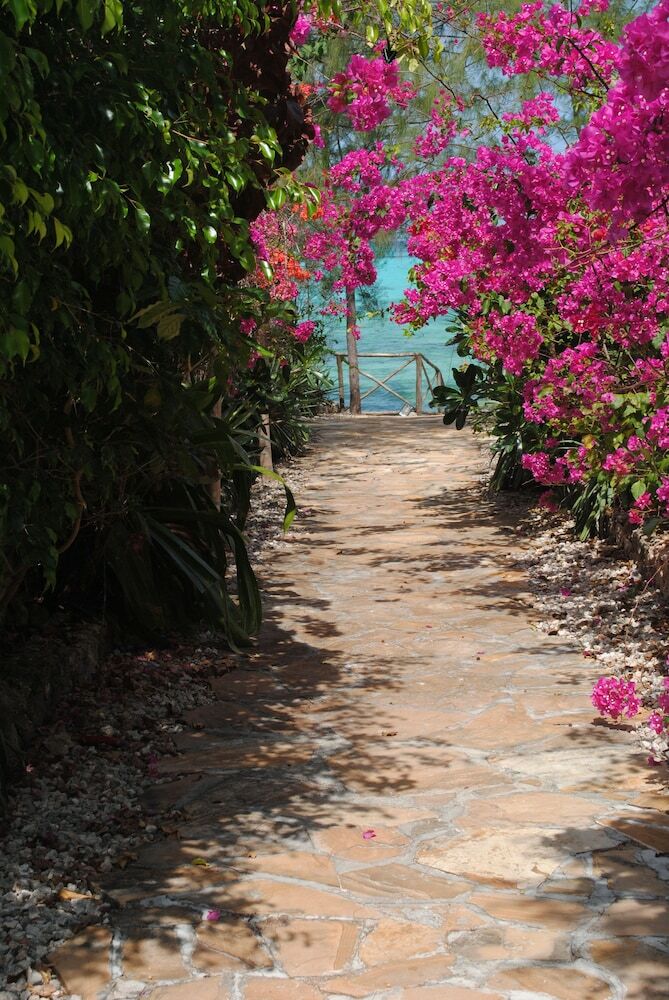 Hotel Seasons Lodge Zanzibar