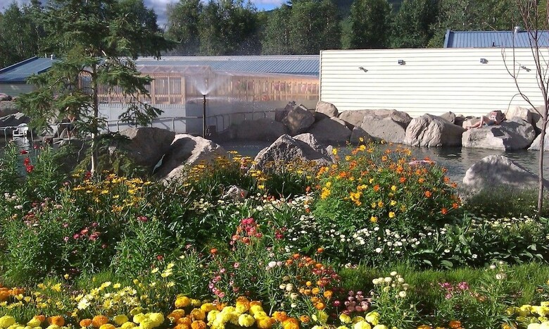 Apartamento Chena Hot Springs Resort