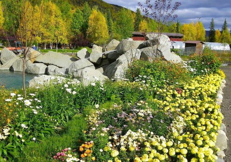 Apartamento Chena Hot Springs Resort