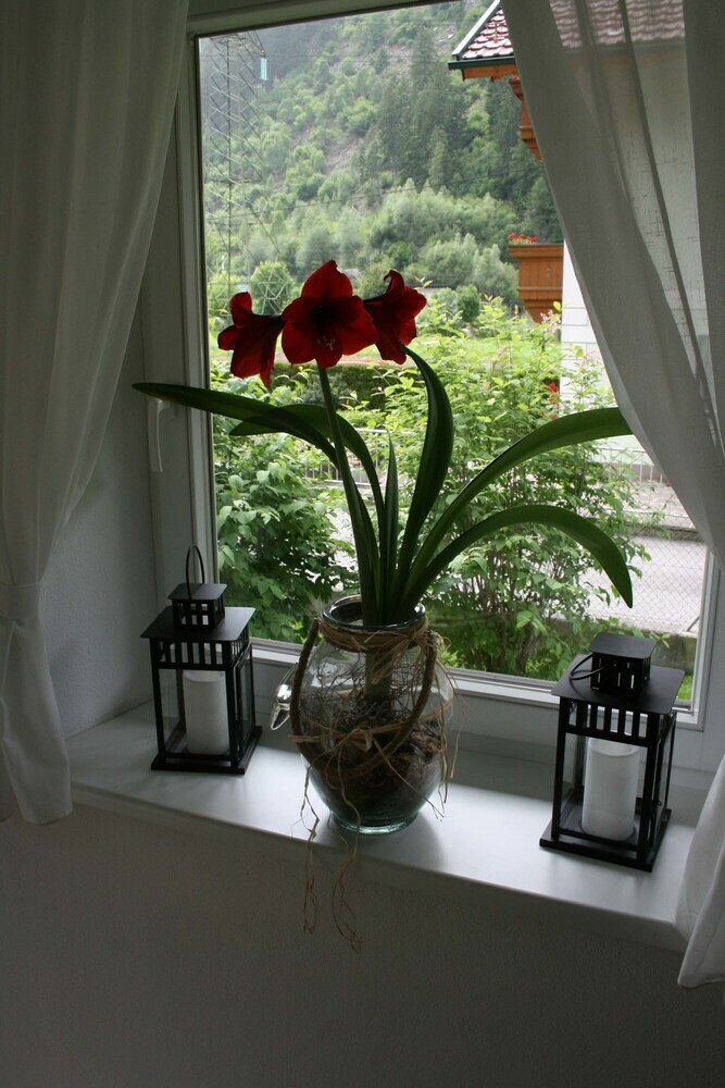 Pension G�stehaus Rosenhof