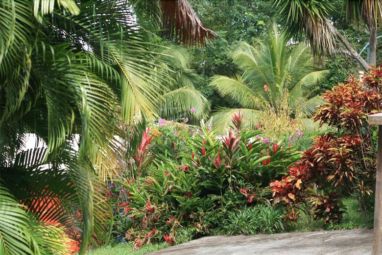 Oasis De Grande Anse