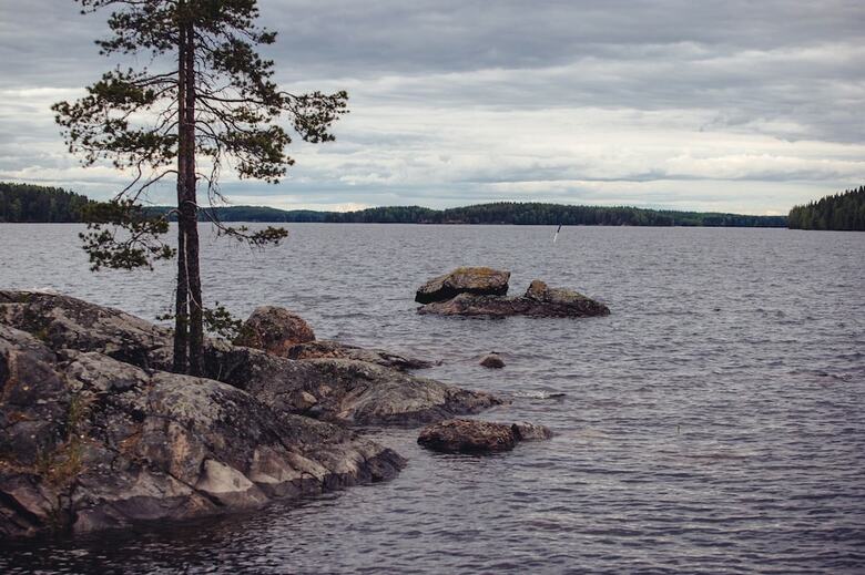 Apartamentos Saimaa Life