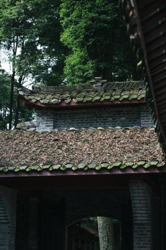 Posada Qingchengshan Yuanming Palace