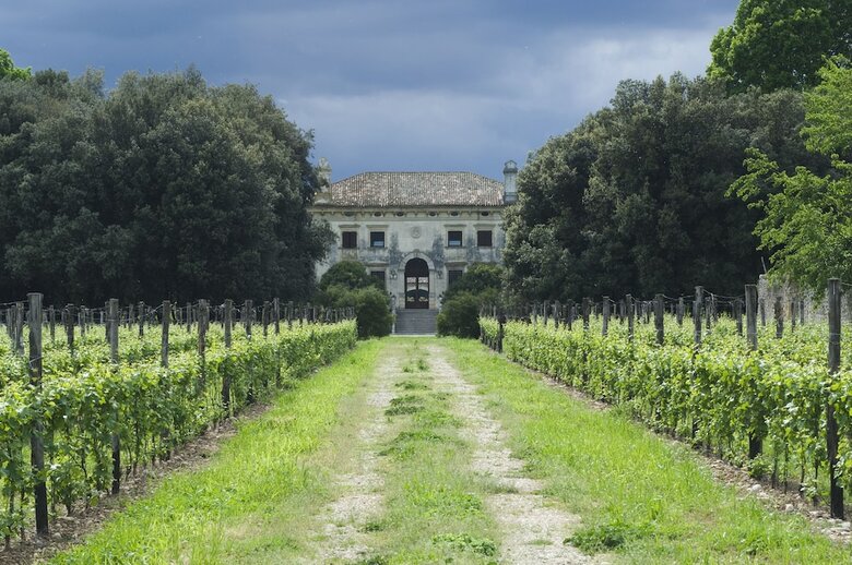 Agroturismo Villa Sagramoso Sacchetti